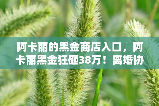 阿卡丽的黑金商店入口,阿卡丽黑金狂砸38万!离婚协议藏隐情,妻子这一手让我吓一跳! 阿卡丽的黑金商店入口,阿卡丽黑金狂砸38万!离婚协议藏隐情,妻子这一手让我吓一跳!