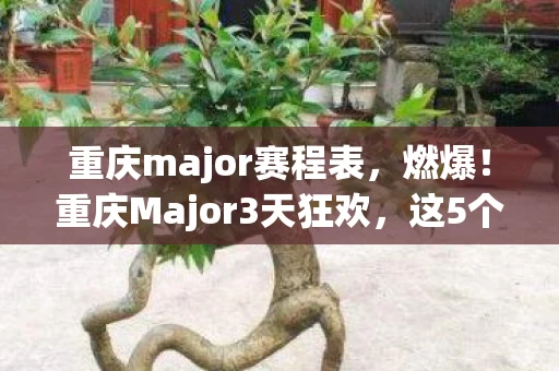 重庆major赛程表,燃爆!重庆Major3天狂欢,这5个瞬间让我热血沸腾到失眠! 重庆major赛程表,燃爆!重庆Major3天狂欢,这5个瞬间让我热血沸腾到失眠!
