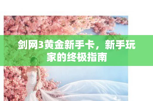 新手玩家的终极指南图片