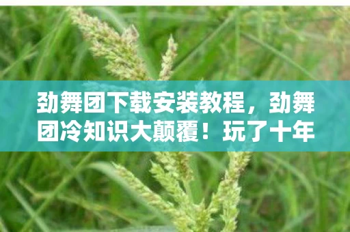劲舞团下载安装教程，劲舞团冷知识大颠覆！玩了十年竟不知新手教程玄机，令人目瞪口呆！