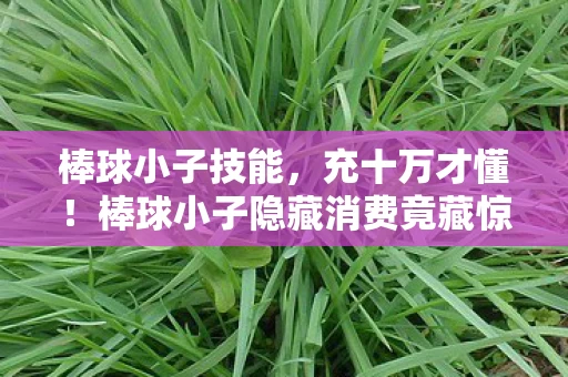 棒球小子技能,充十万才懂!棒球小子隐藏消费竟藏惊天陷阱,钱包哭晕! 棒球小子技能,充十万才懂!棒球小子隐藏消费竟藏惊天陷阱,钱包哭晕!