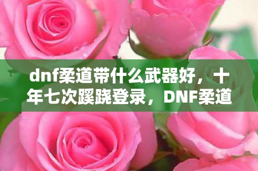 dnf柔道带什么武器好,十年七次蹊跷登录,DNF柔道武器背后竟让我后背发凉! dnf柔道带什么武器好,十年七次蹊跷登录,DNF柔道武器背后竟让我后背发凉!