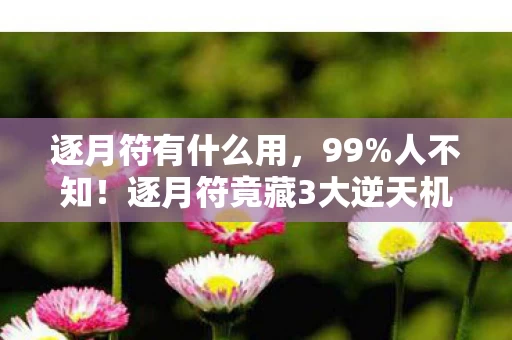 逐月符有什么用,99%人不知!逐月符竟藏3大逆天机制,用对战力飙升300%! 逐月符有什么用,99%人不知!逐月符竟藏3大逆天机制,用对战力飙升300%!