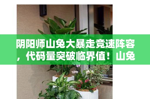阴阳师山兔大暴走竞速阵容，代码量突破临界值！山兔暗线触发头皮发麻级时空坍缩