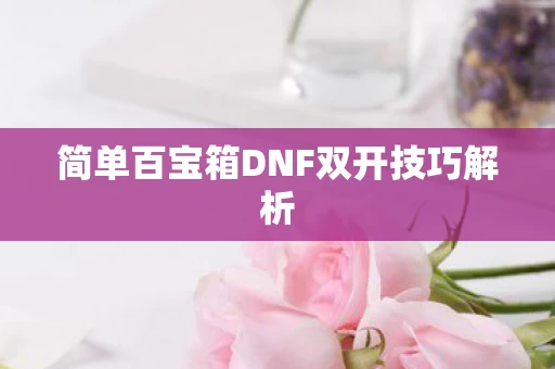简单百宝箱DNF双开技巧解析图片