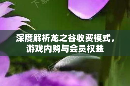 深度解析龙之谷收费模式图片