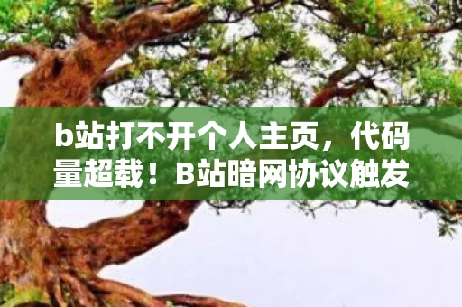 b站打不开个人主页,代码量超载!B站暗网协议触发头皮发麻级数据坍缩 b站打不开个人主页,代码量超载!B站暗网协议触发头皮发麻级数据坍缩