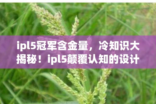 ipl5冠军含金量,冷知识大揭秘!ipl5颠覆认知的设计,让你目瞪口呆! ipl5冠军含金量,冷知识大揭秘!ipl5颠覆认知的设计,让你目瞪口呆!