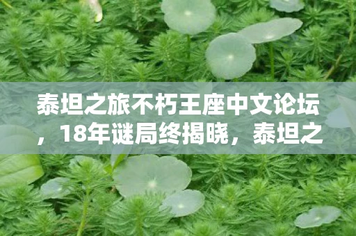 泰坦之旅不朽王座中文论坛,18年谜局终揭晓,泰坦之旅不朽王座,那些被时光掩埋的泪目真相 泰坦之旅不朽王座中文论坛,18年谜局终揭晓,泰坦之旅不朽王座,那些被时光掩埋的泪目真相