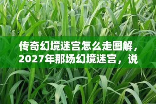 传奇幻境迷宫怎么走图解,2027年那场幻境迷宫,说好通关就散,如今只剩鼻子一酸的回响 传奇幻境迷宫怎么走图解,2027年那场幻境迷宫,说好通关就散,如今只剩鼻子一酸的回响