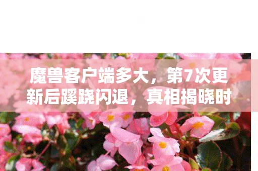 魔兽客户端多大,第7次更新后蹊跷闪退,真相揭晓时我后背发凉 魔兽客户端多大,第7次更新后蹊跷闪退,真相揭晓时我后背发凉