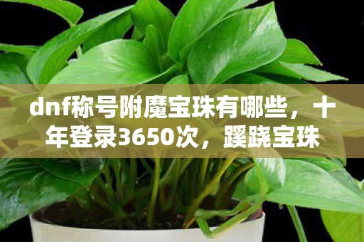 dnf称号附魔宝珠有哪些,十年登录3650次,蹊跷宝珠背后真相让我后背发凉 dnf称号附魔宝珠有哪些,十年登录3650次,蹊跷宝珠背后真相让我后背发凉