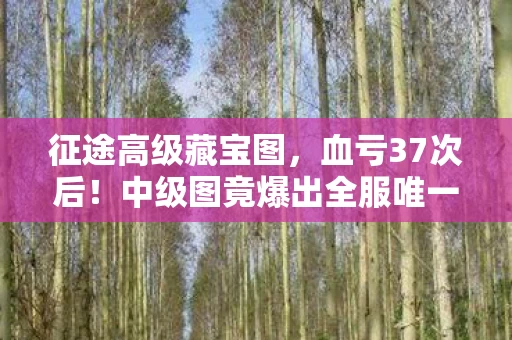 征途高级藏宝图，血亏37次后！中级图竟爆出全服唯一？这操作让800万老玩家集体破防！