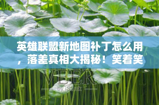 英雄联盟新地图补丁怎么用,落差真相大揭秘!笑着笑着哭了,新地图补丁竟成退坑绊脚石 英雄联盟新地图补丁怎么用,落差真相大揭秘!笑着笑着哭了,新地图补丁竟成退坑绊脚石