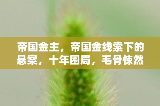 帝国金主,帝国金线索下的悬案,十年困局,毛骨悚然真相待揭 帝国金主,帝国金线索下的悬案,十年困局,毛骨悚然真相待揭