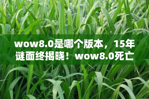 wow8.0是哪个版本，15年谜面终揭晓！wow8.0死亡时间线曝光，玩家泪目，青春已成尸骸