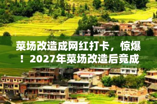 菜场改造成网红打卡，惊爆！2027年菜场改造后竟成网红打卡地，隐藏玩法大揭秘！