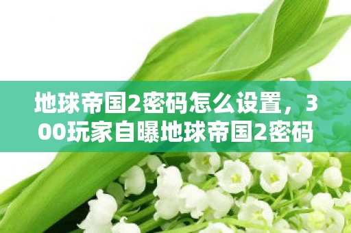 地球帝国2密码怎么设置，300玩家自曝地球帝国2密码疑云，真相揭晓时全网吧绷不住了
