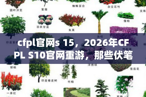 cfpl官网s 15，2026年CFPL S10官网重游，那些伏笔与承诺，鼻子一酸忆往昔