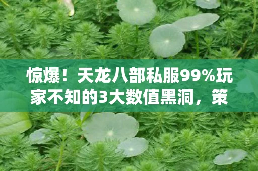 惊爆!天龙八部私服99%玩家不知的3大数值黑洞,策划暗改实锤 惊爆!天龙八部私服99%玩家不知的3大数值黑洞,策划暗改实锤
