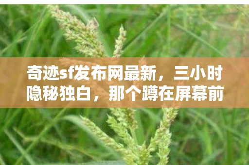 奇迹sf发布网最新，三小时隐秘独白，那个蹲在屏幕前哽咽的奇迹少年，如今还在吗？