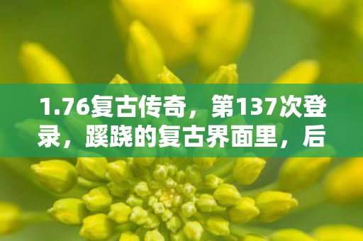 1.76复古传奇,第137次登录,蹊跷的复古界面里,后背发凉的真相在逼近 1.76复古传奇,第137次登录,蹊跷的复古界面里,后背发凉的真相在逼近