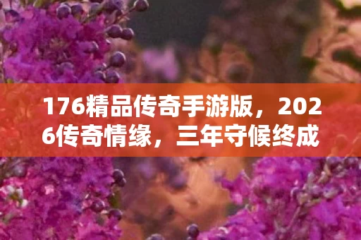 176精品传奇手游版,2026传奇情缘,三年守候终成殇,那些凌晨三点的等你鼻子一酸 176精品传奇手游版,2026传奇情缘,三年守候终成殇,那些凌晨三点的等你鼻子一酸