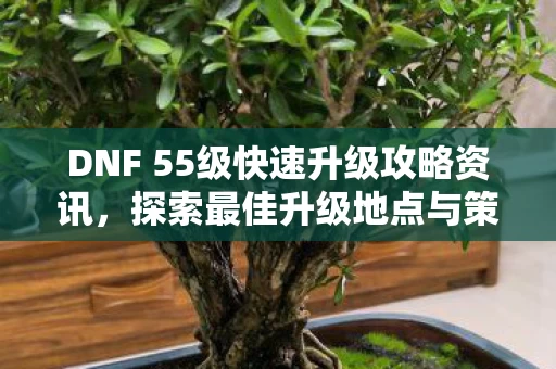 DNF 55级快速升级攻略资讯图片