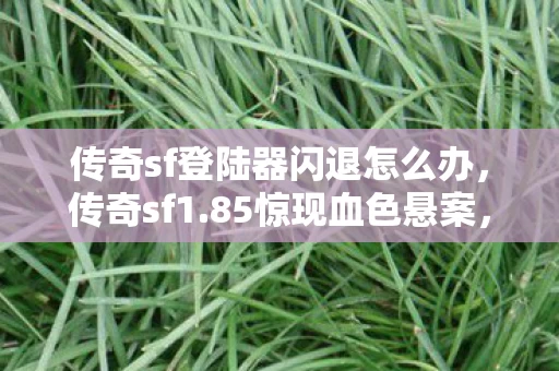 传奇sf登陆器闪退怎么办,传奇sf1.85惊现血色悬案,万次杀戮背后的毛骨悚然真相 传奇sf登陆器闪退怎么办,传奇sf1.85惊现血色悬案,万次杀戮背后的毛骨悚然真相