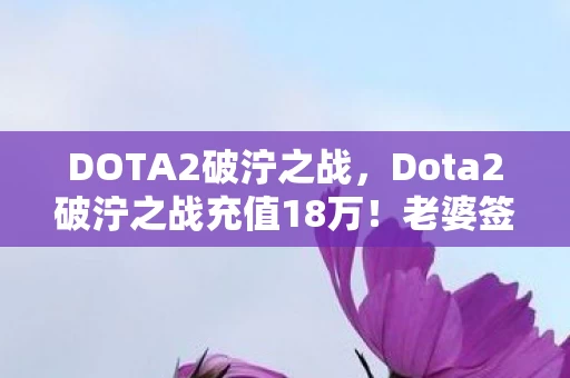 DOTA2破泞之战，Dota2破泞之战充值18万！老婆签离婚协议时，我才知钱都喂了代码