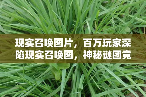 现实召唤图片，百万玩家深陷现实召唤图，神秘谜团竟让全服集体破防！