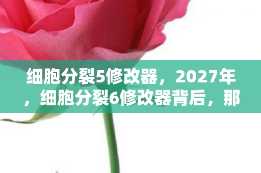 细胞分裂5修改器,2027年,细胞分裂6修改器背后,那些别走让我鼻子一酸 细胞分裂5修改器,2027年,细胞分裂6修改器背后,那些别走让我鼻子一酸