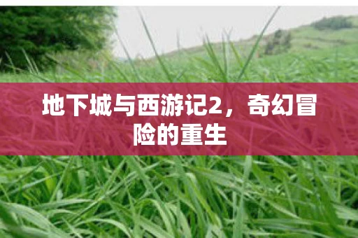 地下城与西游记2图片