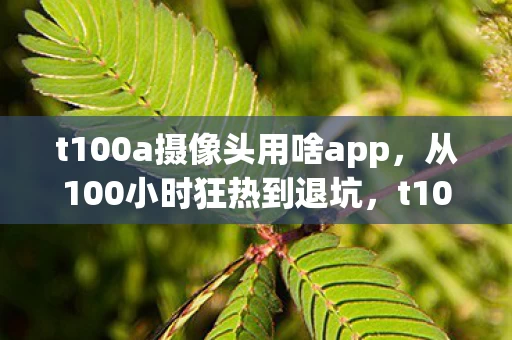 t100a摄像头用啥app，从100小时狂热到退坑，t100a竟让我2027年再度沦陷？
