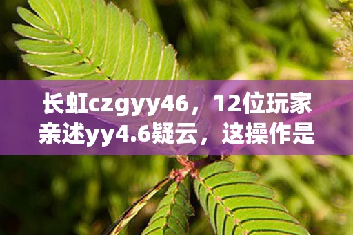 长虹czgyy46，12位玩家亲述yy4.6疑云，这操作是神是鬼？大神都绷不住了！