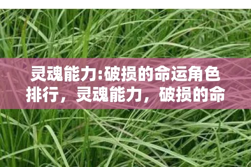 灵魂能力:破损的命运角色排行,灵魂能力,破损的命运——当再玩一局成为心理实验的细思极恐沉迷剂量 灵魂能力:破损的命运角色排行,灵魂能力,破损的命运——当再玩一局成为心理实验的细思极恐沉迷剂量