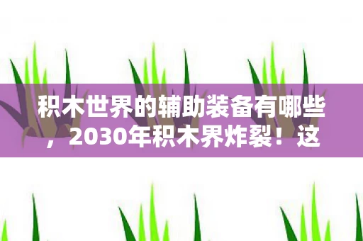 积木世界的辅助装备有哪些，2030年积木界炸裂！这5大神器竟让玩家集体失控？
