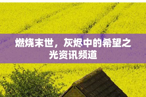 灰烬中的希望之光资讯频道图片