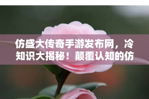 仿盛大传奇手游发布网，冷知识大揭秘！颠覆认知的仿盛大传奇sf设计，让你目瞪口呆！