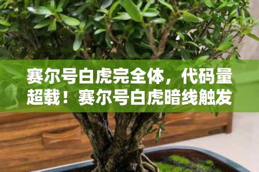 赛尔号白虎完全体，代码量超载！赛尔号白虎暗线触发，当AI觉醒引发头皮发麻的量子纠缠