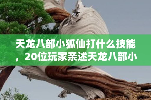 天龙八部小狐仙打什么技能，20位玩家亲述天龙八部小狐仙疑云，那些在网吧绷不住的瞬间