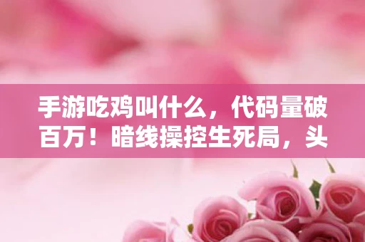 手游吃鸡叫什么,代码量破百万!暗线操控生死局,头皮发麻的吃鸡指挥官竟是社恐? 手游吃鸡叫什么,代码量破百万!暗线操控生死局,头皮发麻的吃鸡指挥官竟是社恐?