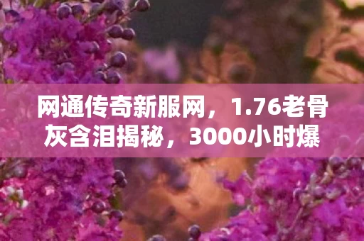 网通传奇新服网,1.76老骨灰含泪揭秘,3000小时爆装率0.03%的深夜,我为何还在死磕? 网通传奇新服网,1.76老骨灰含泪揭秘,3000小时爆装率0.03%的深夜,我为何还在死磕?
