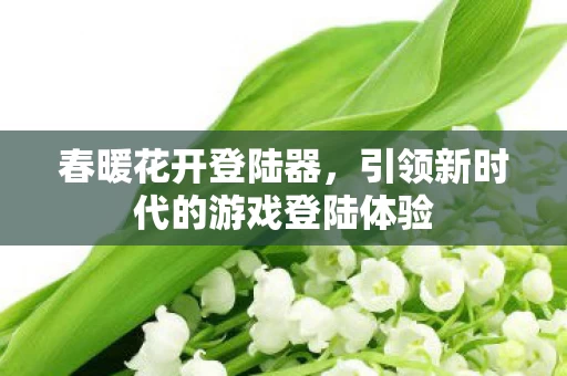 引领新时代的游戏登陆体验图片