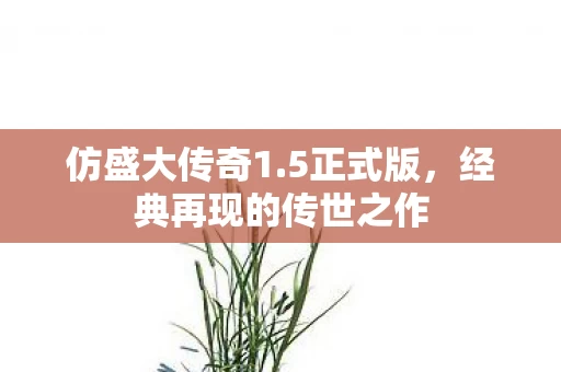 经典再现的传世之作图片