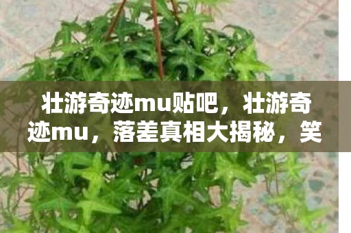 壮游奇迹mu贴吧,壮游奇迹mu,落差真相大揭秘,笑着骂完,笑着笑着却哭了 壮游奇迹mu贴吧,壮游奇迹mu,落差真相大揭秘,笑着骂完,笑着笑着却哭了