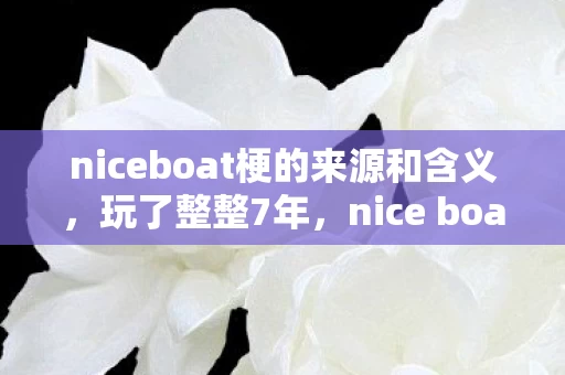 niceboat梗的来源和含义,玩了整整7年,nice boat的3种玩法,我该选哪条路继续远航? niceboat梗的来源和含义,玩了整整7年,nice boat的3种玩法,我该选哪条路继续远航?