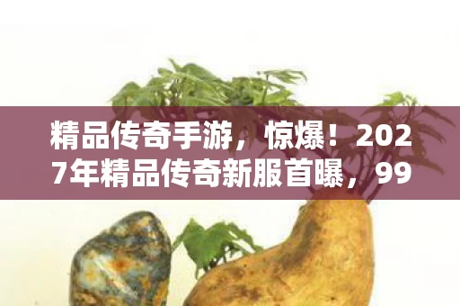 精品传奇手游，惊爆！2027年精品传奇新服首曝，99%玩家不知的隐藏玩法？