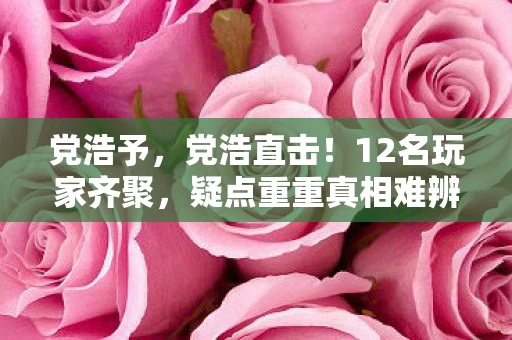 党浩予，党浩直击！12名玩家齐聚，疑点重重真相难辨，众人绷不住现场开撕