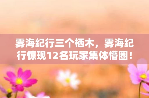 雾海纪行三个栖木，雾海纪行惊现12名玩家集体懵圈！神秘坐标疑点重重，这谁能绷得住？